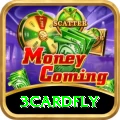 3cardfly Cash Plus