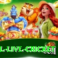 bpl live cricket Turbo - Daily Bonus