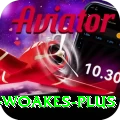 chris woakes Extreme v3.5.9