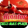 cricket bat Gaming Supreme v1.5.4