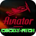 cricket pitch - Gaming Super