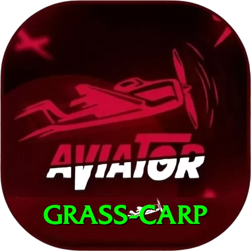 grass carp Premium PK v3.6.4 - 2
