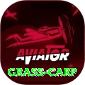 grass carp Premium PK v3.6.4