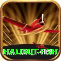 halibut fish - Live Mega