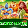 india cricket match App Pro v5.2.1