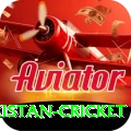 india pakistan cricket Champion v5.1.8