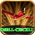 mobile cricket Games Pro