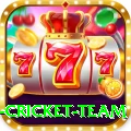 netherlands cricket team Live Turbo v1.4.1