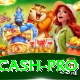 Pakiwin Cash Pro