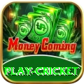 play cricket Pakistan Champion v1.5.4