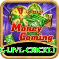 smartcric live cricket PK Extreme
