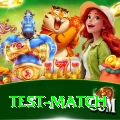 test match PK Plus