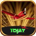 tojay Apps (Tools & Injectors) VIP v5.9.9