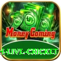 watch live cricket VIP APK v5.4.4