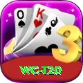 wc t20 - Gaming Mega