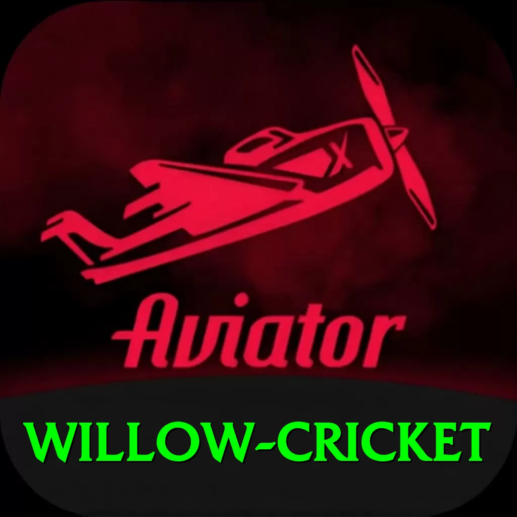 willow cricket Ultimate New - 2