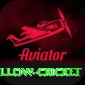 willow cricket Ultimate New